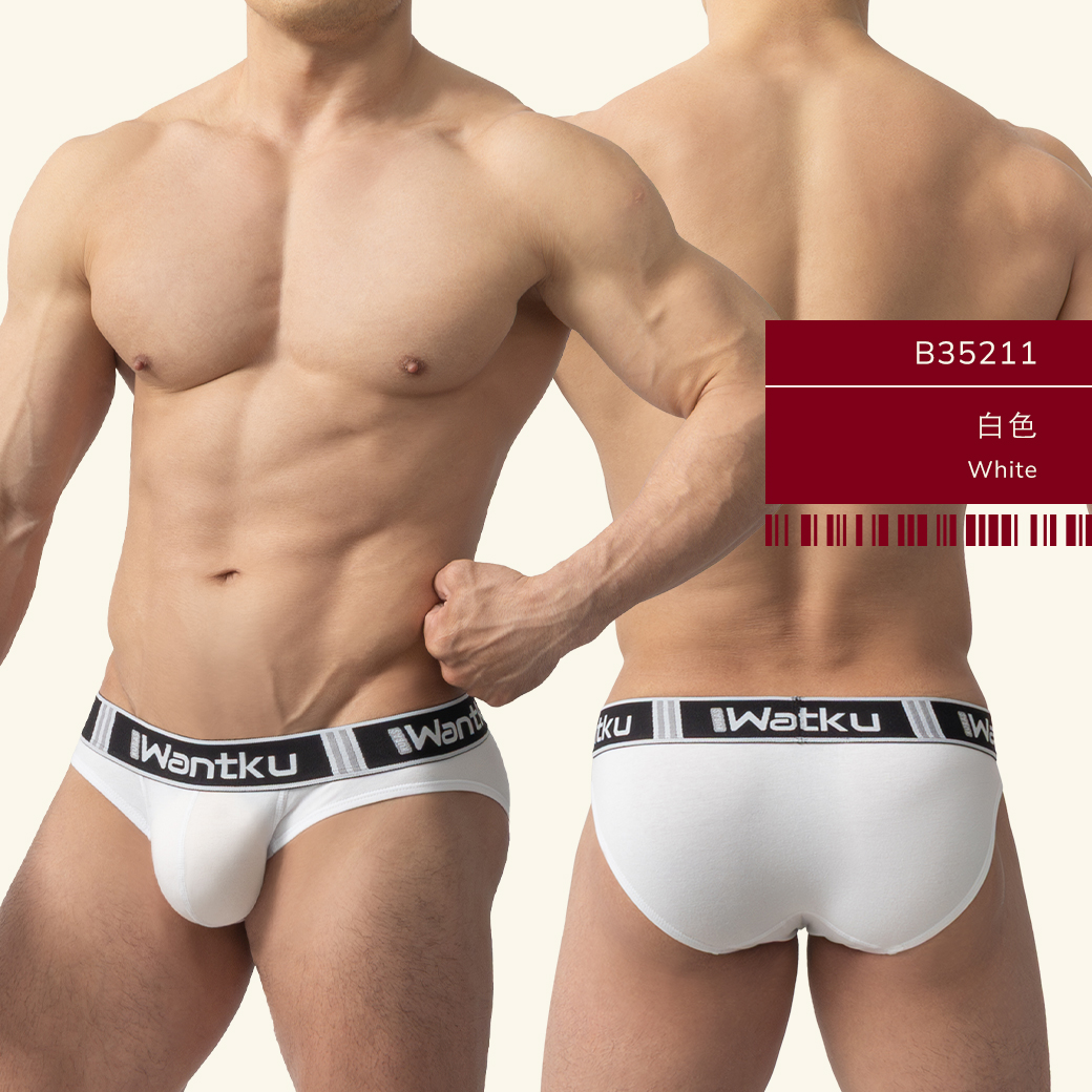 素色,彈性,棉,運動型,三角褲,男內褲,plain colors,elastic,cotton,sports,briefs,mens,underwears,b3521