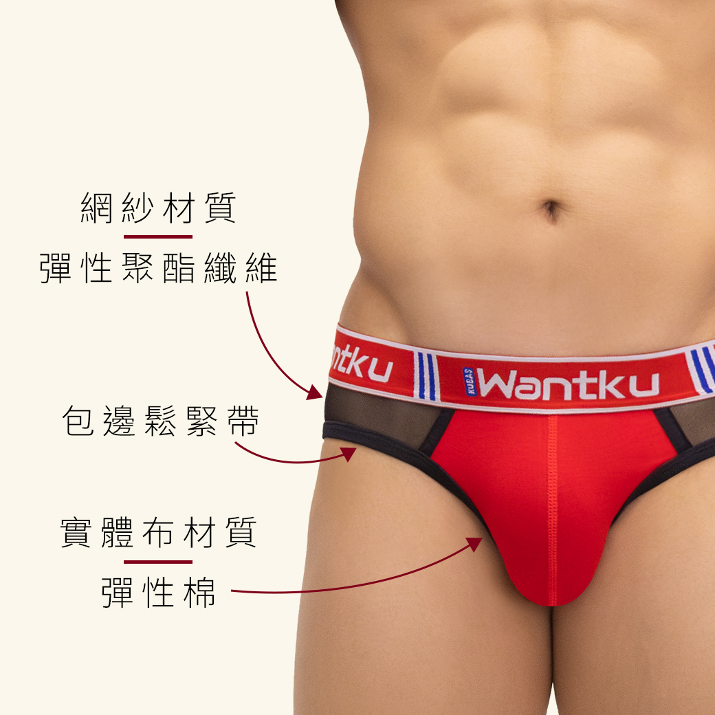素色,半網紗,彈性,棉,運動,三角褲,男內褲,plain colors,half mesh,elastic,cotton,sports,briefs,mens,underwears,b3w432