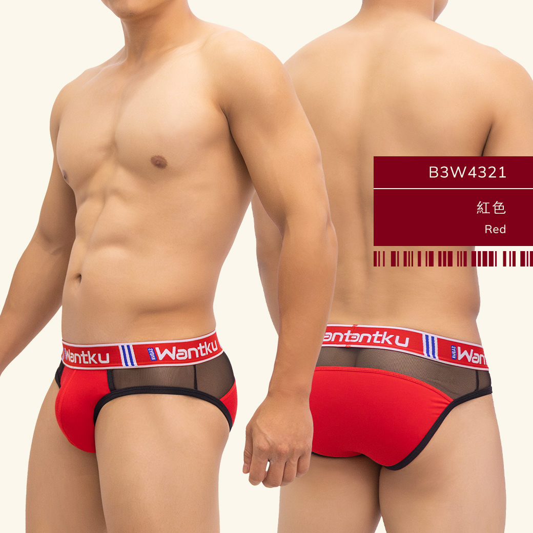 素色,半網紗,彈性,棉,運動,三角褲,男內褲,plain colors,half mesh,elastic,cotton,sports,briefs,mens,underwears,b3w432