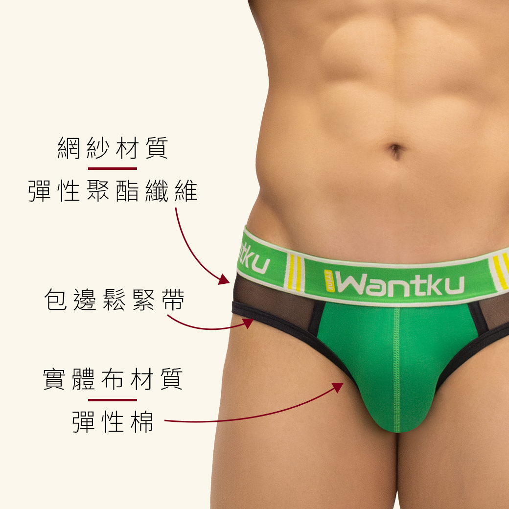 素色,半網紗,彈性,棉,運動,三角褲,男內褲,plain colors,half mesh,elastic,cotton,sports,briefs,mens,underwears,b3w432