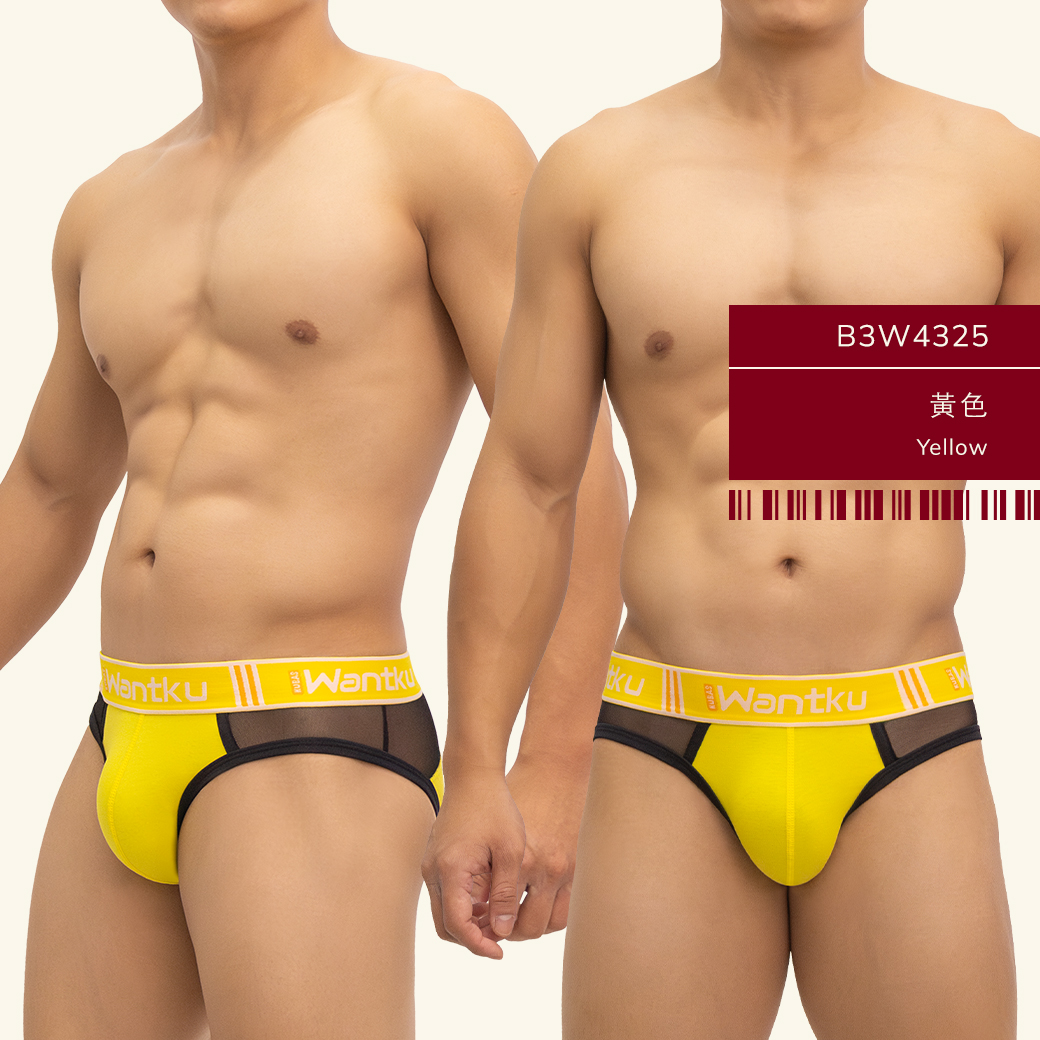 素色,半網紗,彈性,棉,運動,三角褲,男內褲,plain colors,half mesh,elastic,cotton,sports,briefs,mens,underwears,b3w432