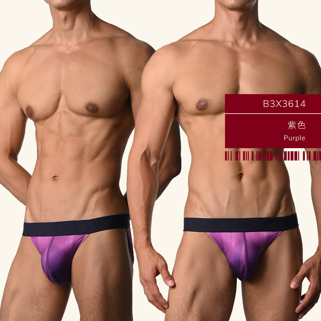 直條,漸層,tdt,高叉,三角褲,straight,gradient,high-cut,briefs,men,underwears,b3x361