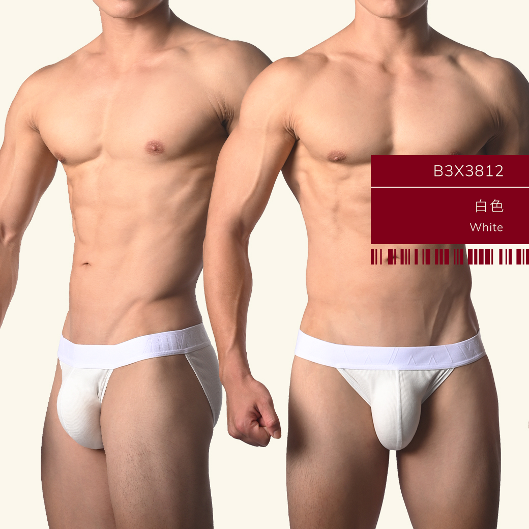素色,羅紋,彈性,嫘萦,高叉,三角褲,男內褲,plain color,ribbing,elastic,rayon,high-cut,briefs,mens,underwears,b3x381