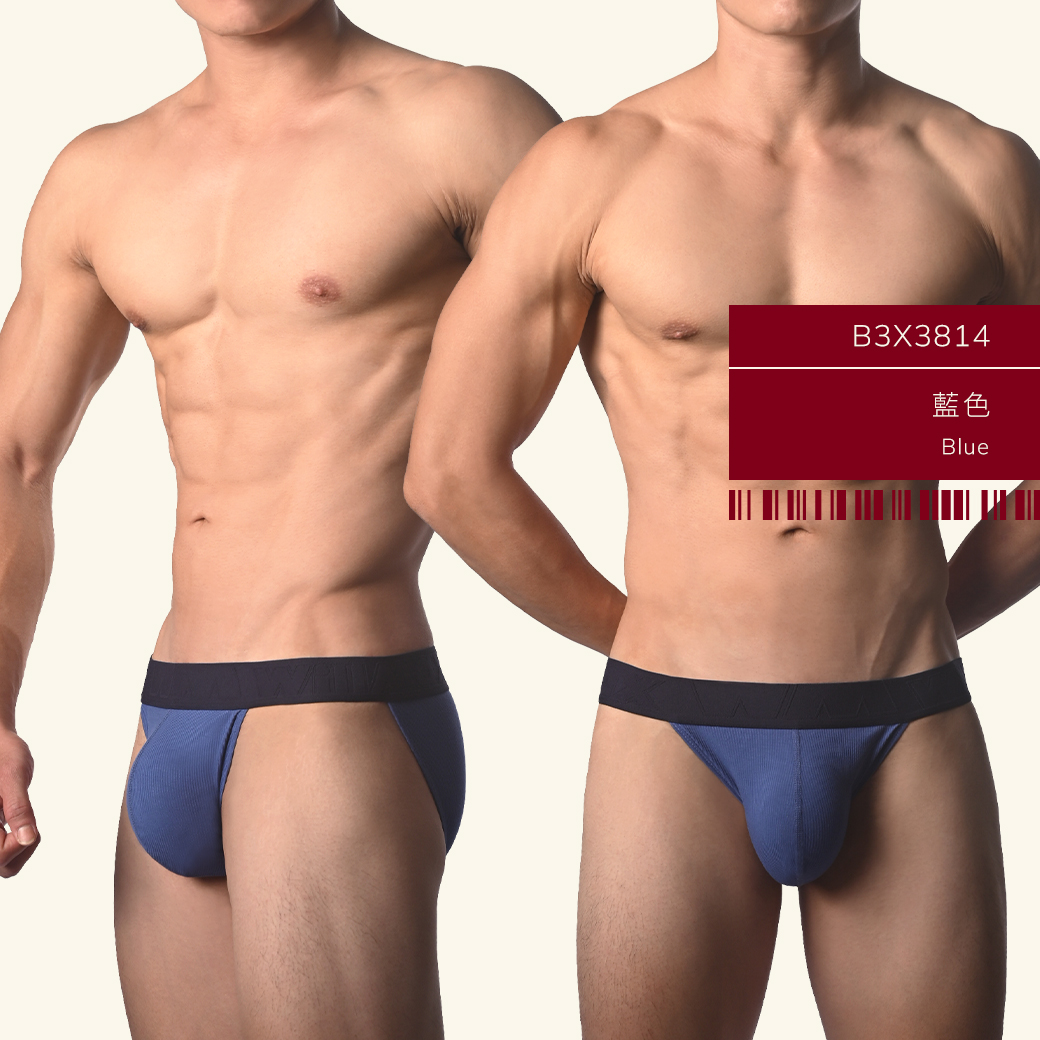 素色,羅紋,彈性,嫘萦,高叉,三角褲,男內褲,plain color,ribbing,elastic,rayon,high-cut,briefs,mens,underwears,b3x381