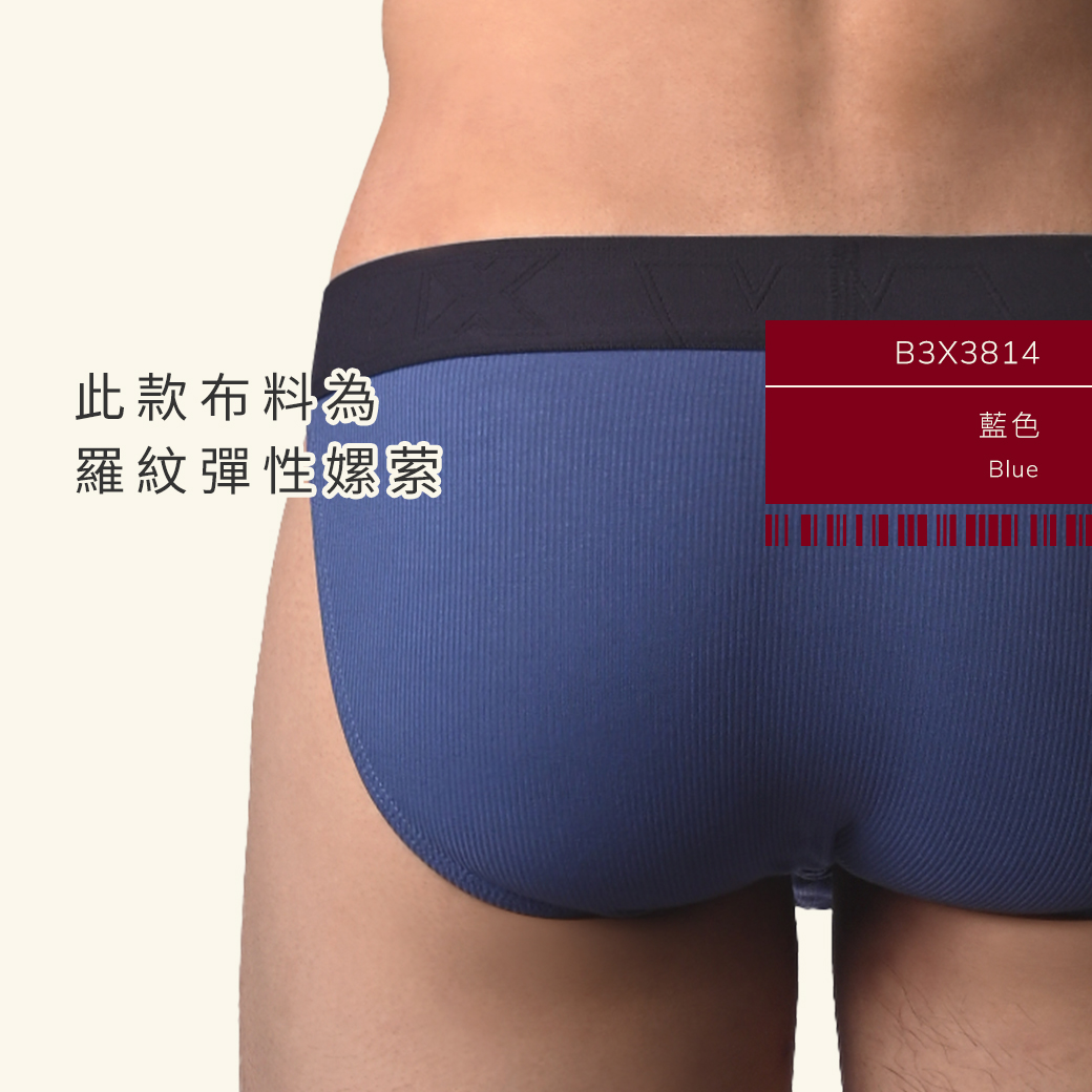 素色,羅紋,彈性,嫘萦,高叉,三角褲,男內褲,plain color,ribbing,elastic,rayon,high-cut,briefs,mens,underwears,b3x381