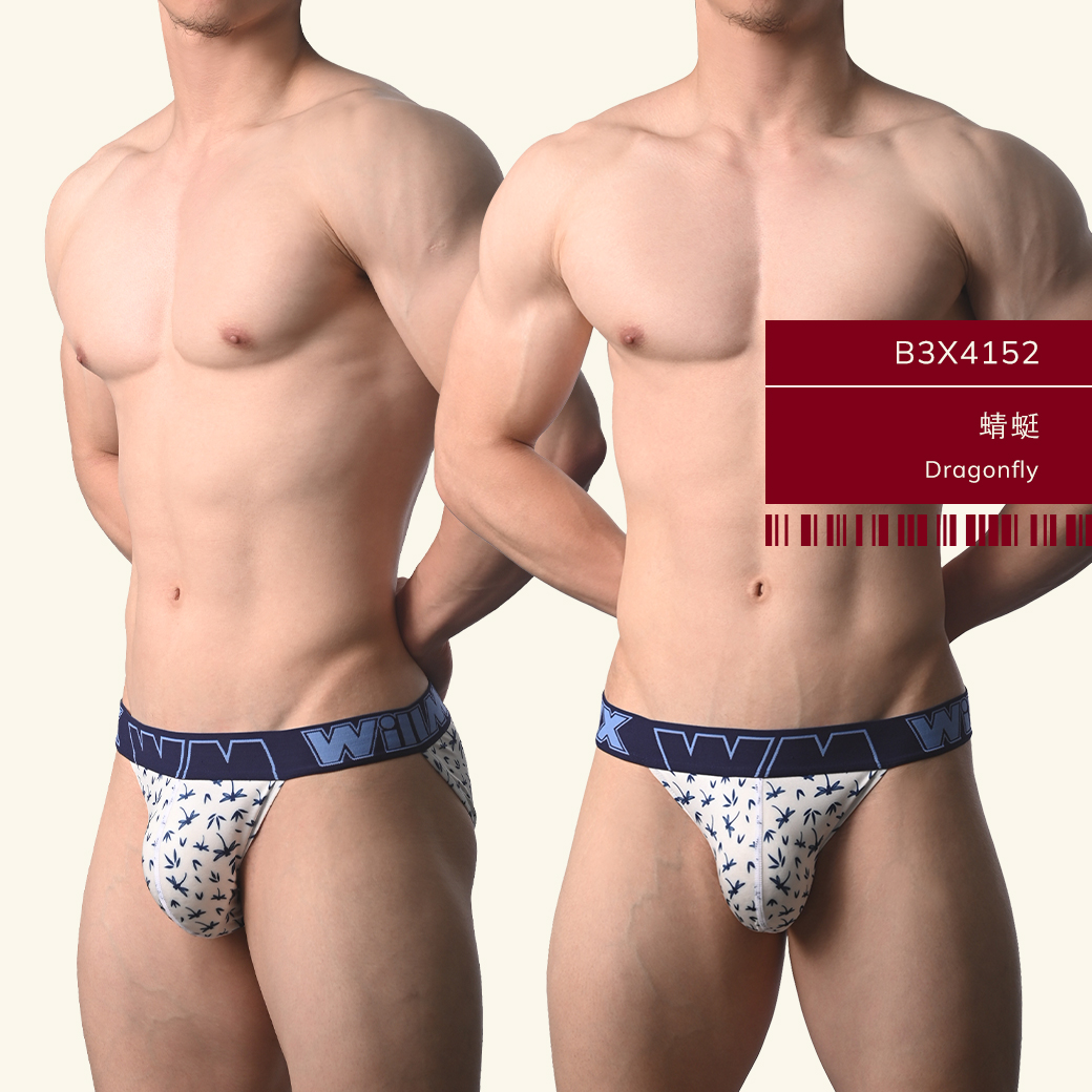印花,tdt,高叉,三角褲,男內褲,stamp,high-cut,briefs,mens,underwears,b3x415