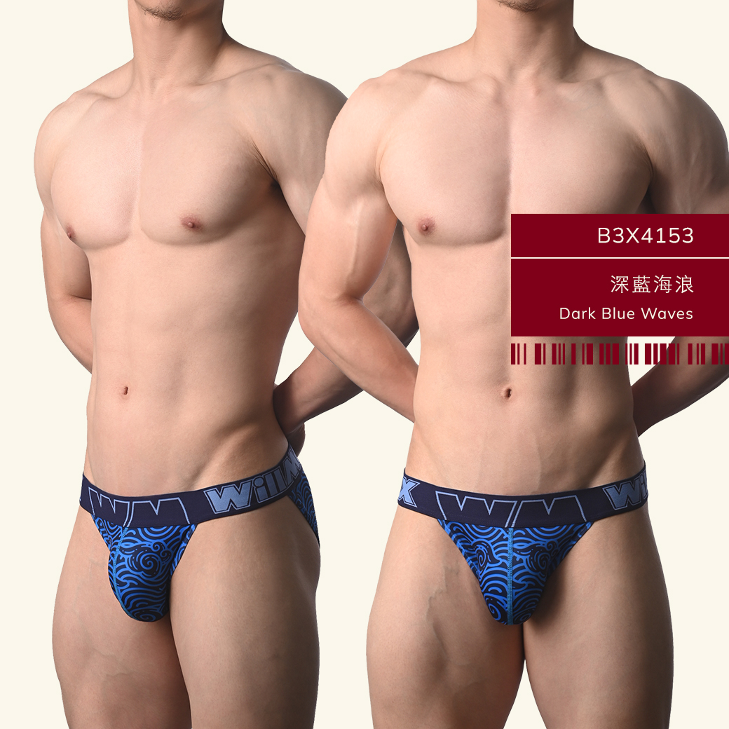 印花,tdt,高叉,三角褲,男內褲,stamp,high-cut,briefs,mens,underwears,b3x415