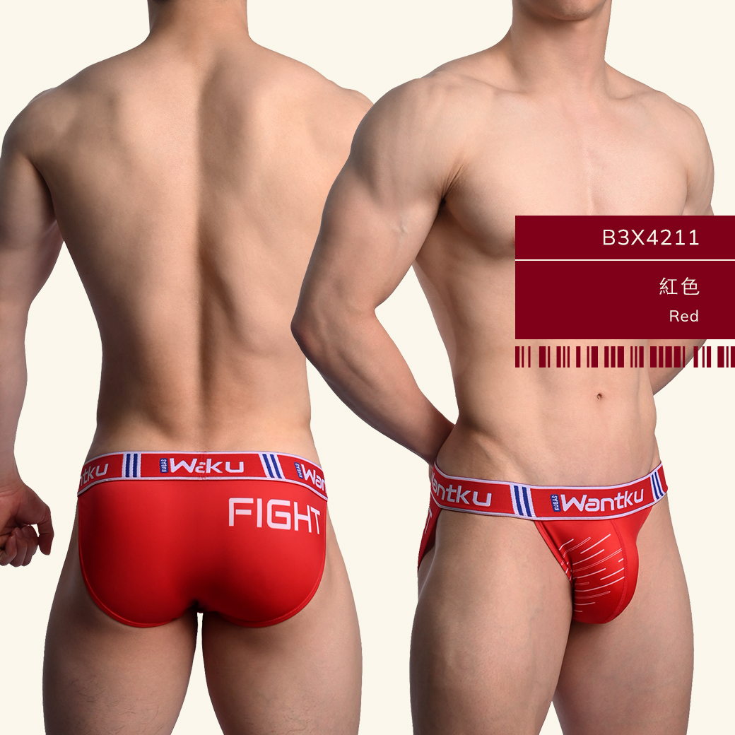 fight,tdt,高叉,三角褲,男內褲,high-cut,briefs,mens,underwears,b3x421