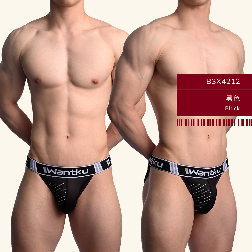 fight,tdt,高叉,三角褲,男內褲,high-cut,briefs,mens,underwears,b3x421