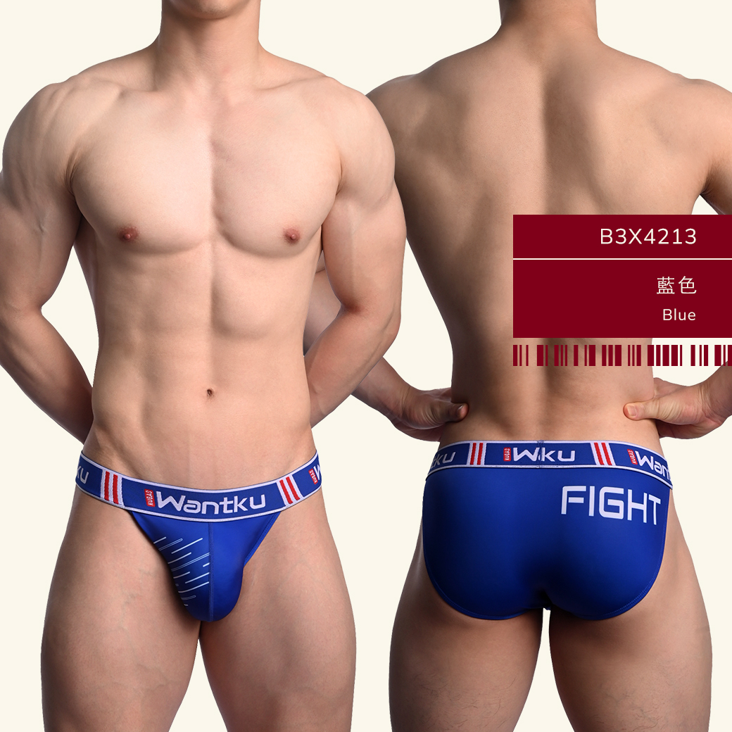 fight,tdt,高叉,三角褲,男內褲,high-cut,briefs,mens,underwears,b3x421
