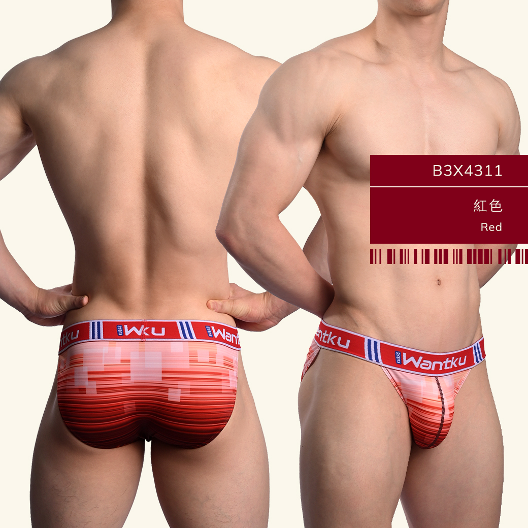 格子,線條,tdt,高叉,三角褲,男內褲,squares,lines,high-cut,briefs,mens,underwears,b3x431