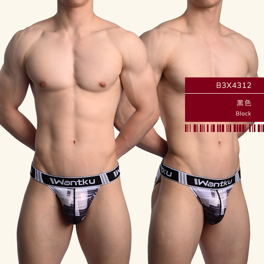 格子,線條,tdt,高叉,三角褲,男內褲,squares,lines,high-cut,briefs,mens,underwears,b3x431