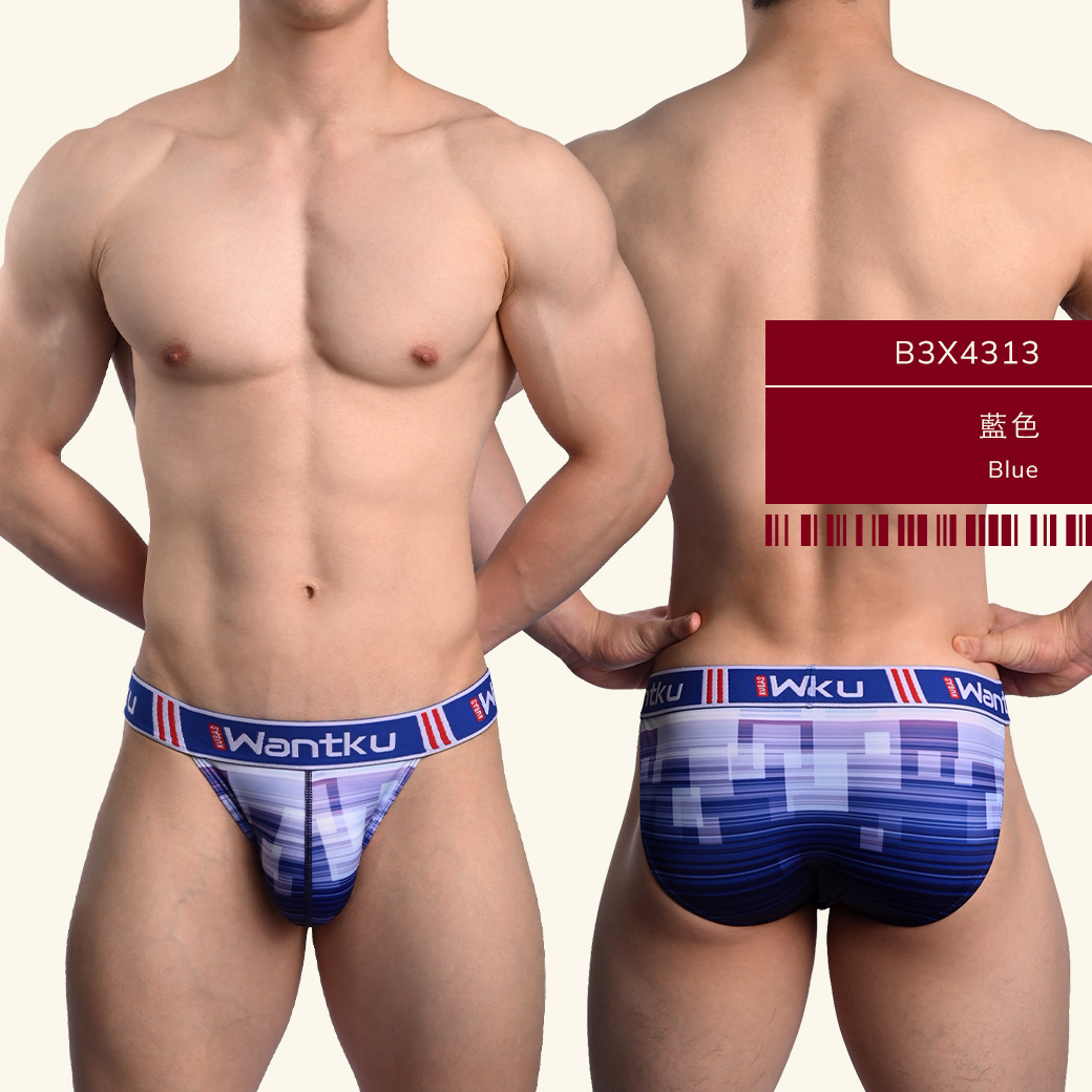 格子,線條,tdt,高叉,三角褲,男內褲,squares,lines,high-cut,briefs,mens,underwears,b3x431