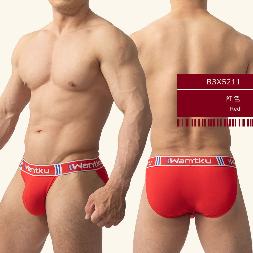 素色,彈性,棉,高叉,三角褲,男,內褲,plain colors,elastic,cotton,high-cut,briefs,mens,underwears,b3x521