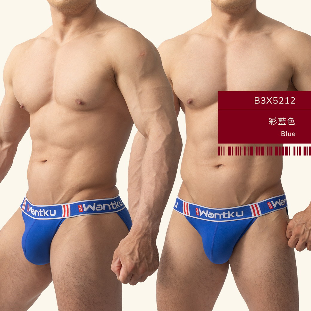 素色,彈性,棉,高叉,三角褲,男,內褲,plain colors,elastic,cotton,high-cut,briefs,mens,underwears,b3x521