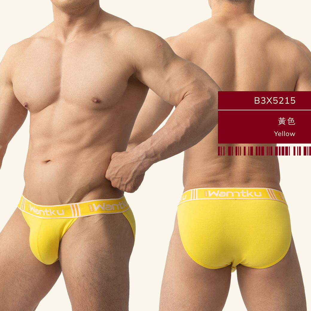 素色,彈性,棉,高叉,三角褲,男,內褲,plain colors,elastic,cotton,high-cut,briefs,mens,underwears,b3x521