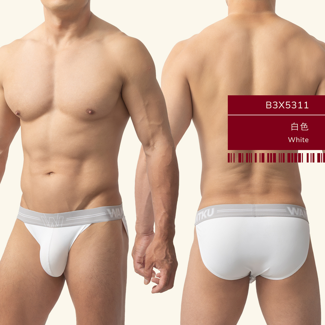 素色,尼龍,高叉,三角褲,男內褲,plain colors,nylon,high-cut,briefs,mens,underwears,b5x531