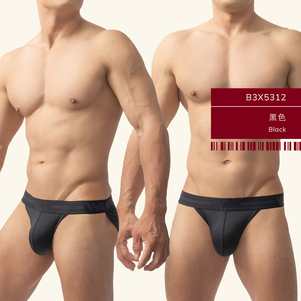 素色,尼龍,高叉,三角褲,男內褲,plain colors,nylon,high-cut,briefs,mens,underwears,b5x531