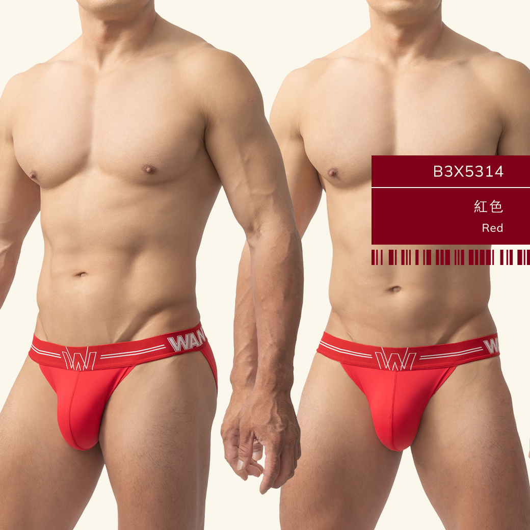 素色,尼龍,高叉,三角褲,男內褲,plain colors,nylon,high-cut,briefs,mens,underwears,b5x531