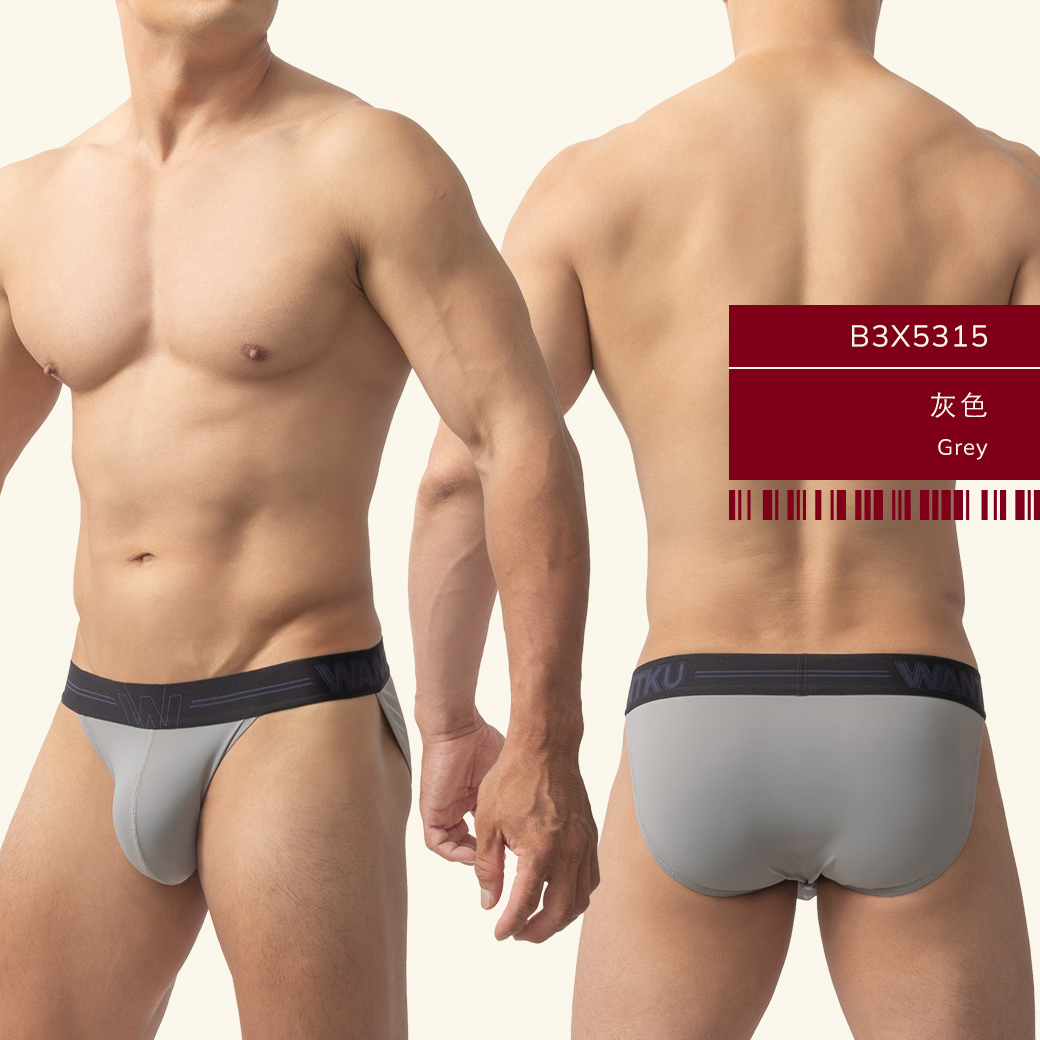素色,尼龍,高叉,三角褲,男內褲,plain colors,nylon,high-cut,briefs,mens,underwears,b5x531