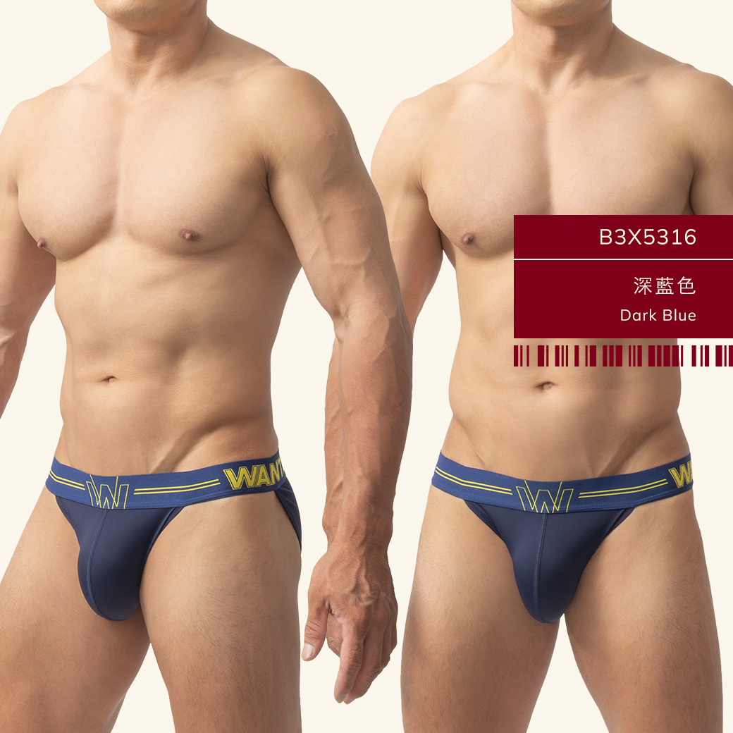 素色,尼龍,高叉,三角褲,男內褲,plain colors,nylon,high-cut,briefs,mens,underwears,b5x531