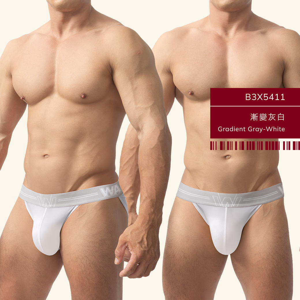漸層,tdt,高叉,三角褲,男內褲,gradient,high-cut,briefs,mens,underwears,b3x541