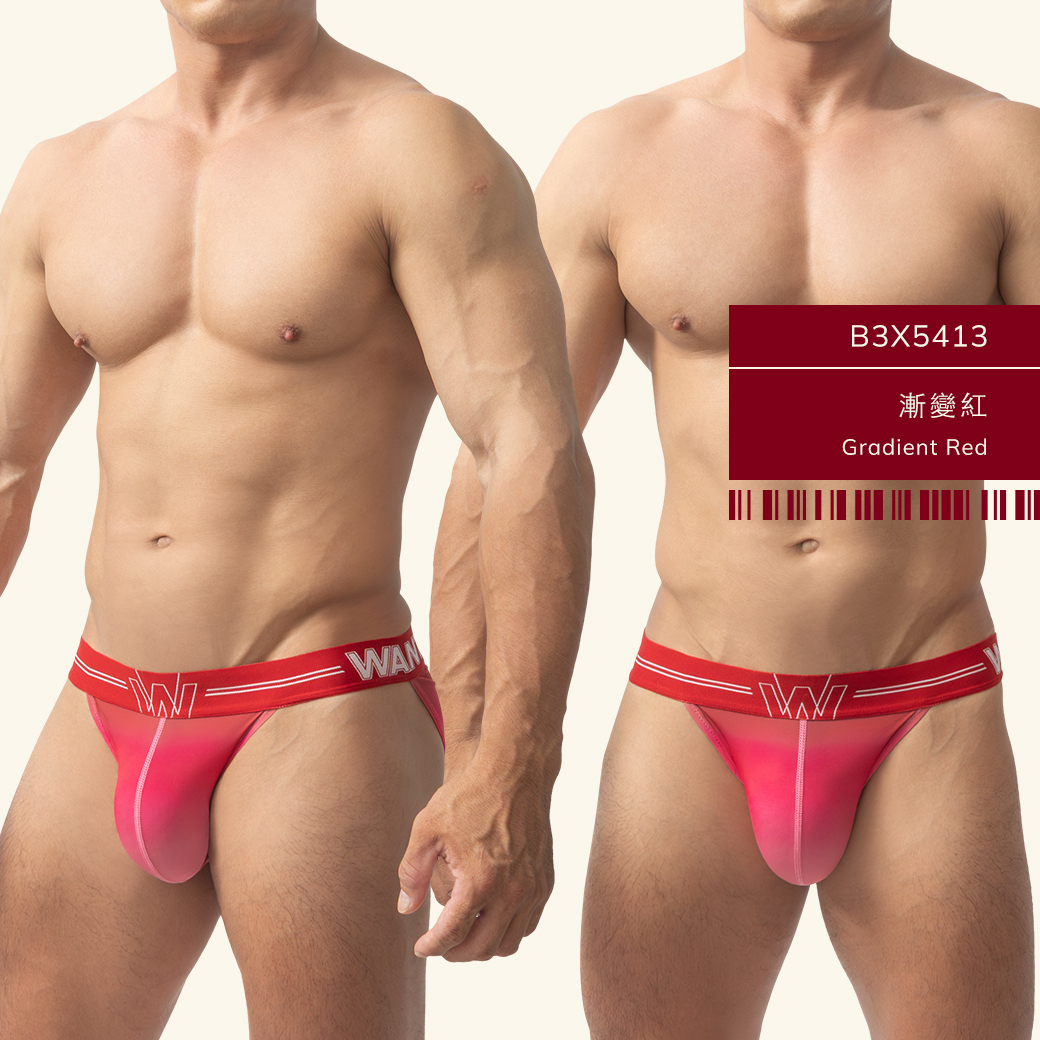 漸層,tdt,高叉,三角褲,男內褲,gradient,high-cut,briefs,mens,underwears,b3x541