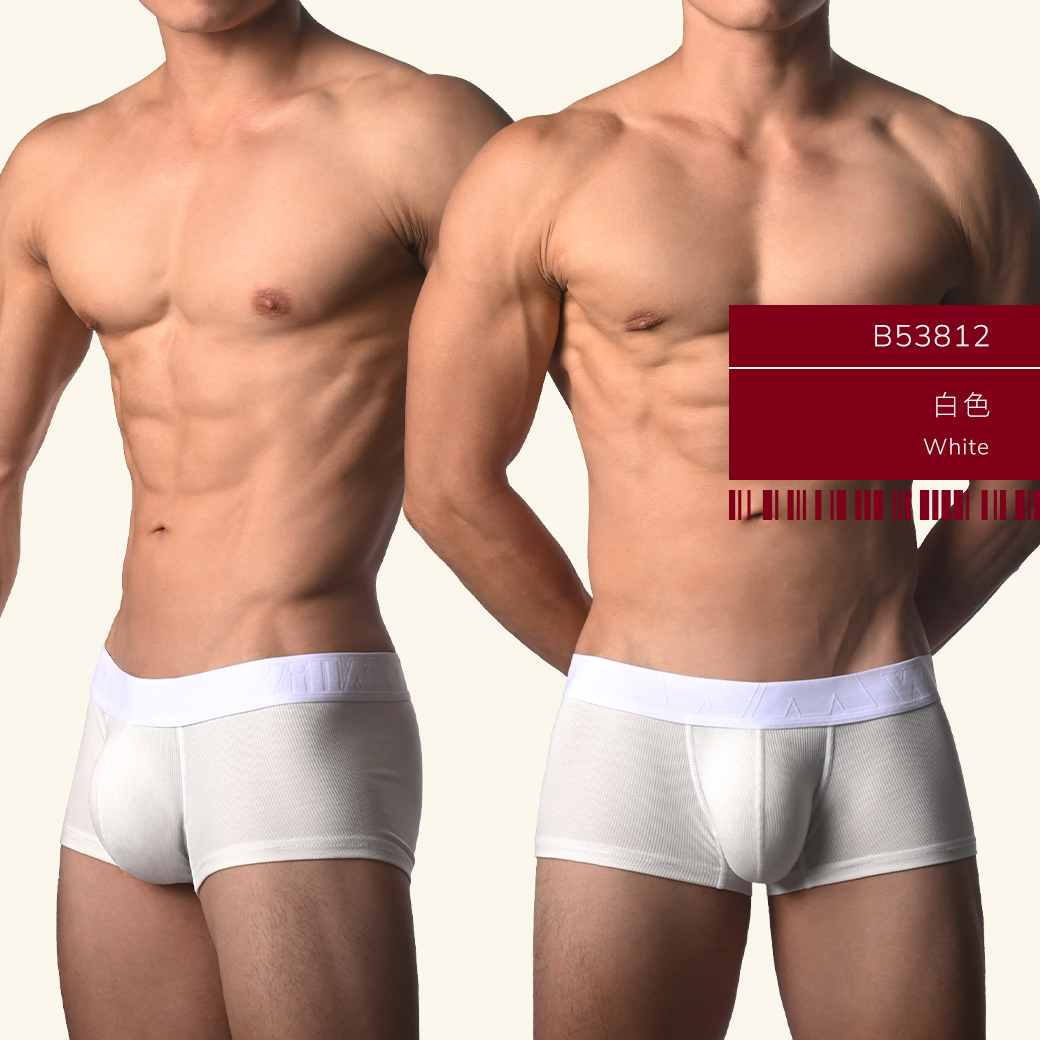 素色,羅紋,彈性,嫘萦,基本款,四角褲,男內褲,plain color,ribbing,elastic,rayon,basic styles,trunks,mens,underwears,b5381
