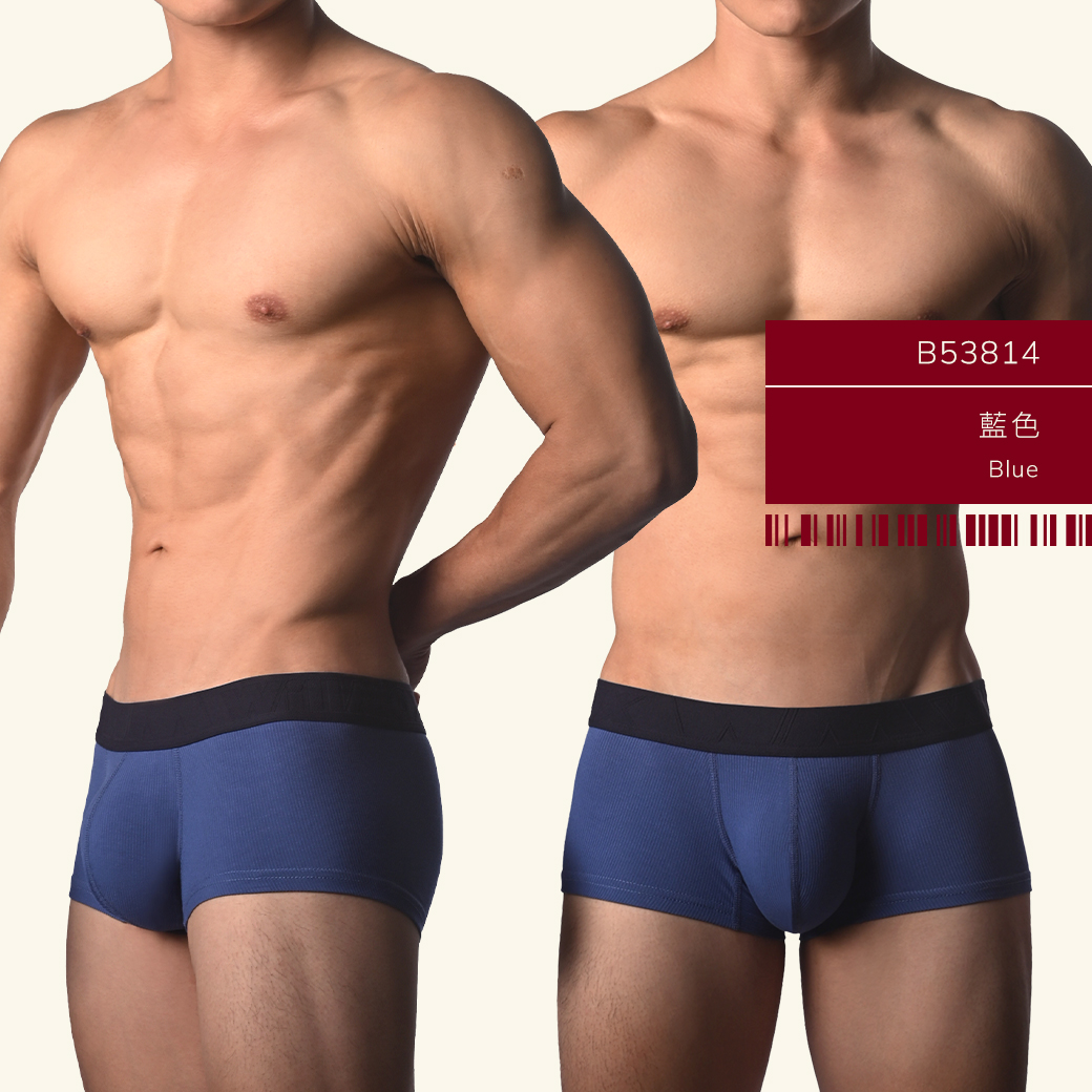 素色,羅紋,彈性,嫘萦,基本款,四角褲,男內褲,plain color,ribbing,elastic,rayon,basic styles,trunks,mens,underwears,b5381