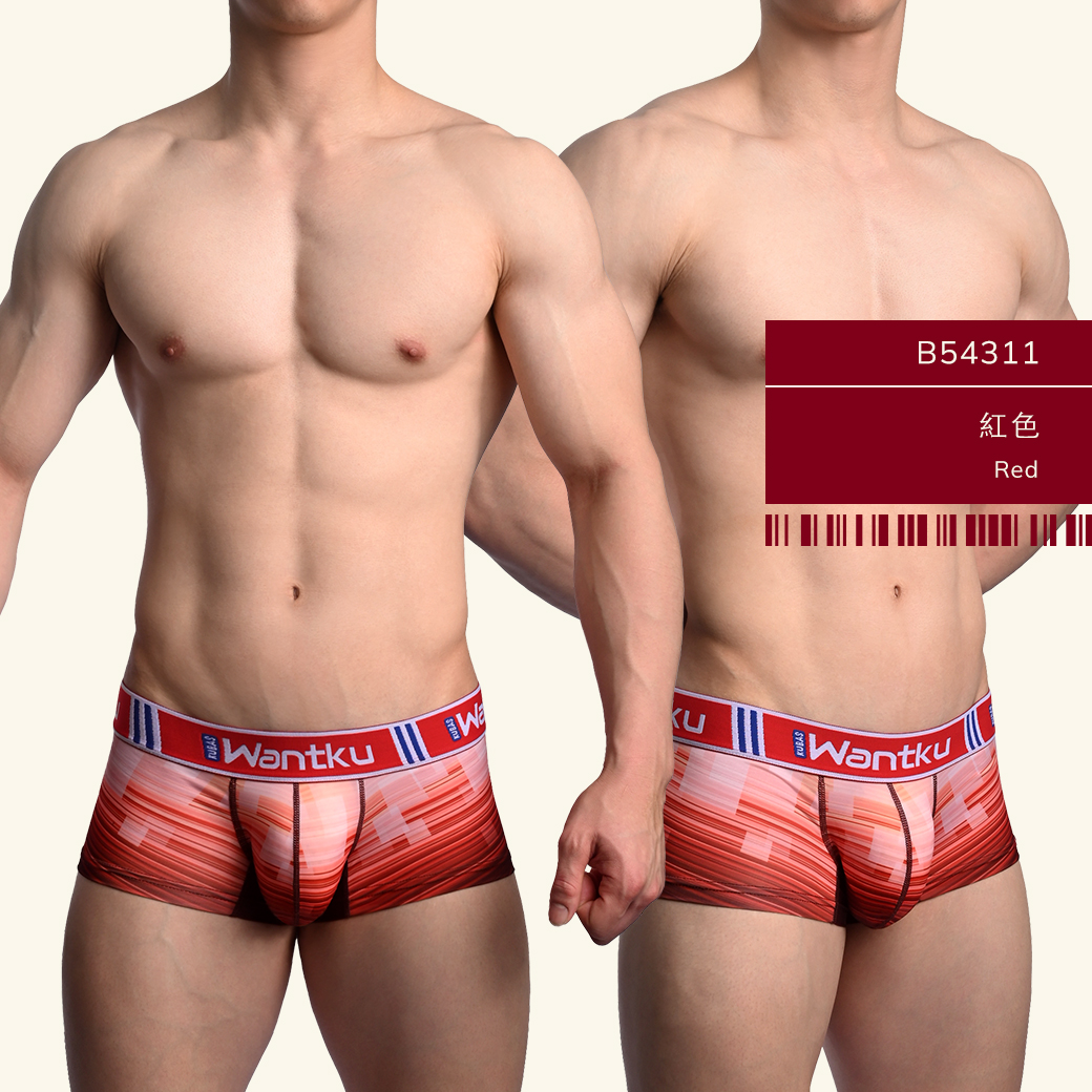 格子,線條,tdt,基本款,四角褲,男內褲,squares,lines,basic styles,boxers,mens,underwears,b5431