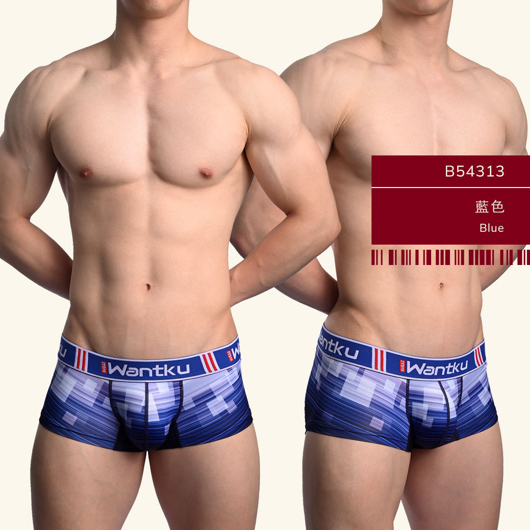 格子,線條,tdt,基本款,四角褲,男內褲,squares,lines,basic styles,boxers,mens,underwears,b5431