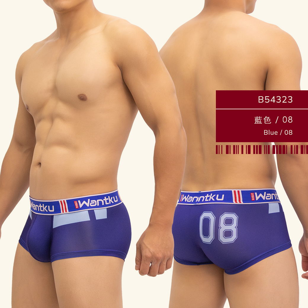 雙色,數字,tdt,基本款,四角褲,男內褲,duo colors,digits,numbers,basic styles,boxers,mens,underwears,b5432