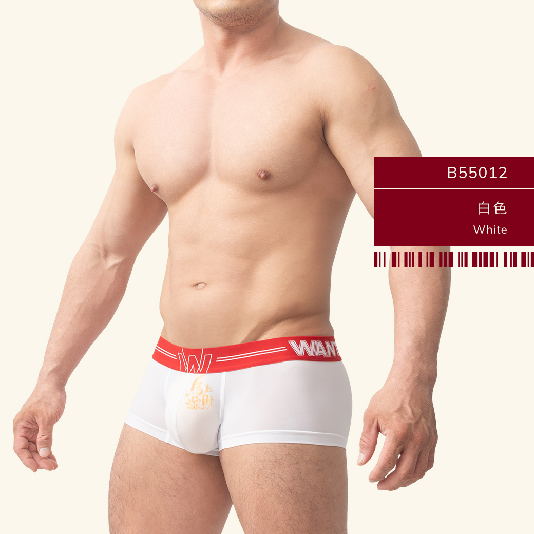 馬年內褲, 馬年四角褲, 生肖內褲, 男內褲, 四角褲, 基本款內褲, tdt內褲, 彈性棉內褲, 新年內褲, year of the horse boxer briefs, men boxer briefs, basic boxer briefs, elastic cotton boxer briefs, tdt boxer briefs, b55012