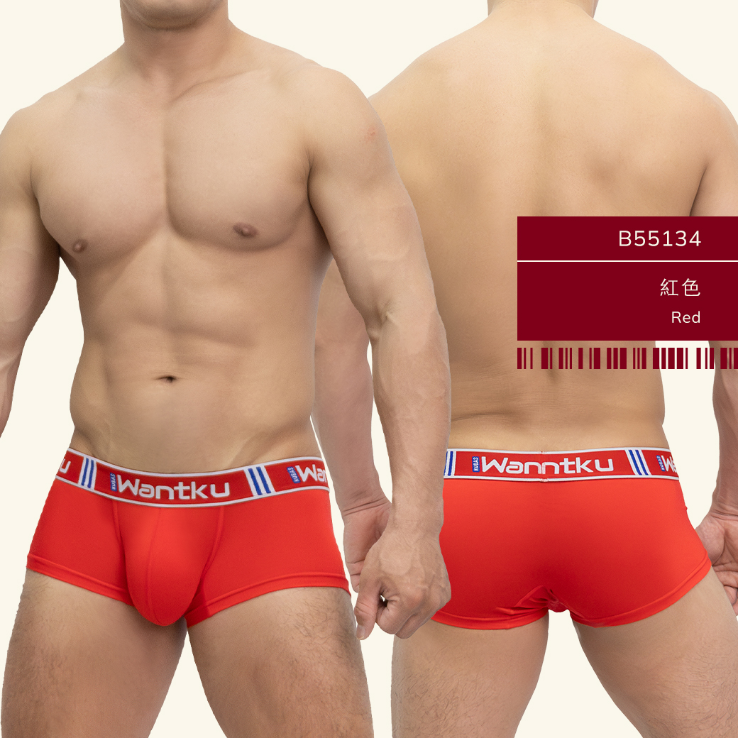 素色,莫代爾,基本款,四角褲,男內褲,plain colors, modal,basic styles,boxers,mens,underwear,b5513