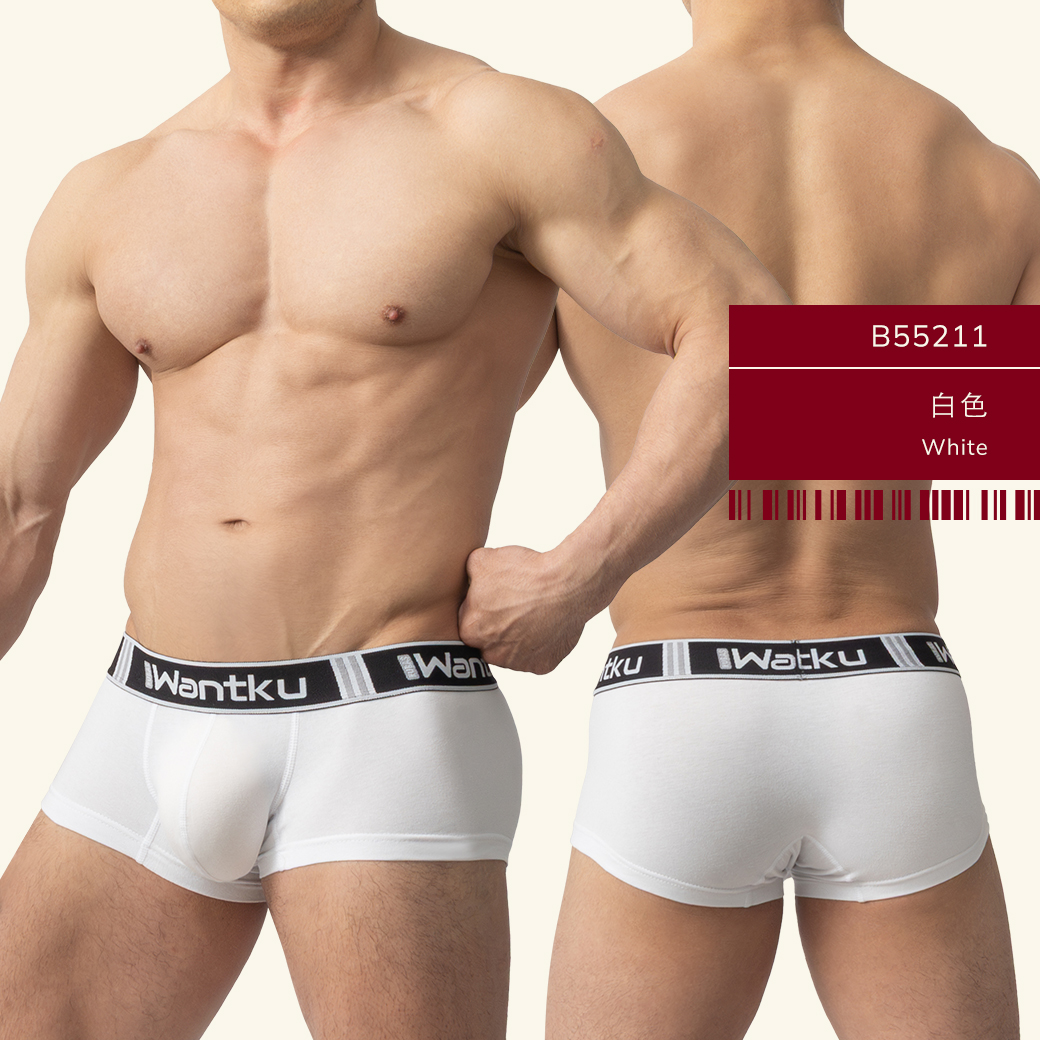 素色,彈性,棉,基本款,四角褲,男內褲,plain colors,elastic,cotton,basic styles,boxers,mens,underwears,b5521