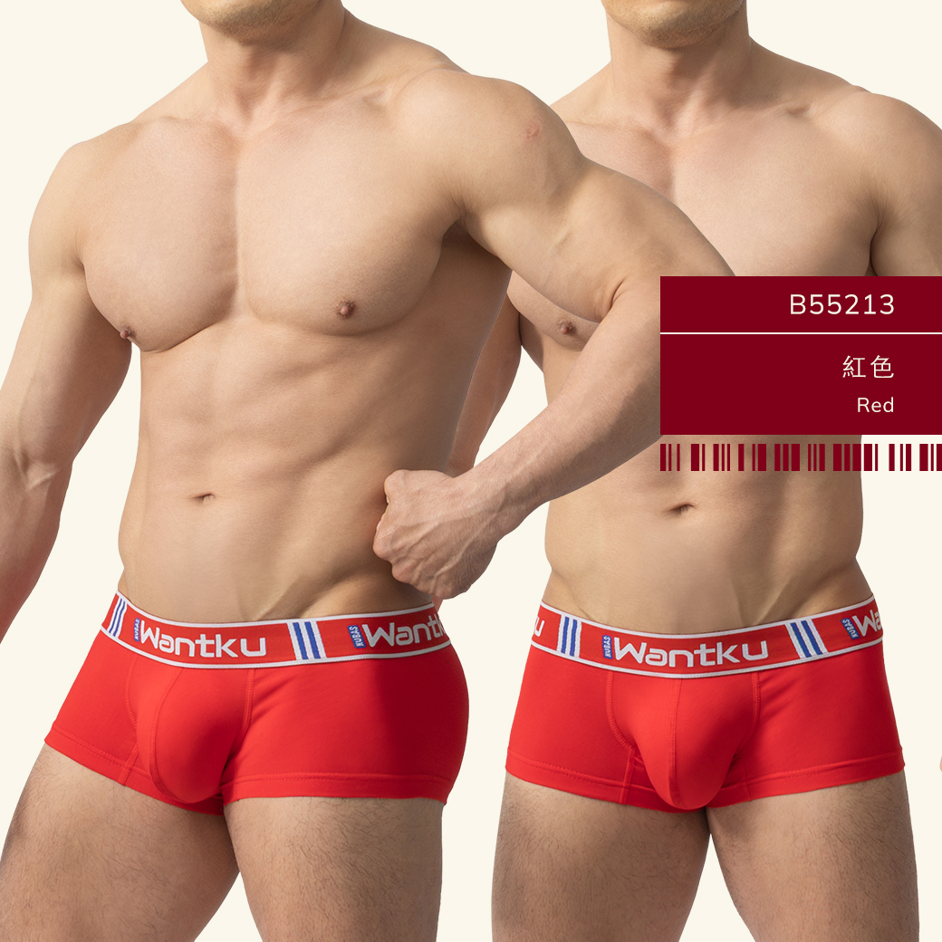 素色,彈性,棉,基本款,四角褲,男內褲,plain colors,elastic,cotton,basic styles,boxers,mens,underwears,b5521
