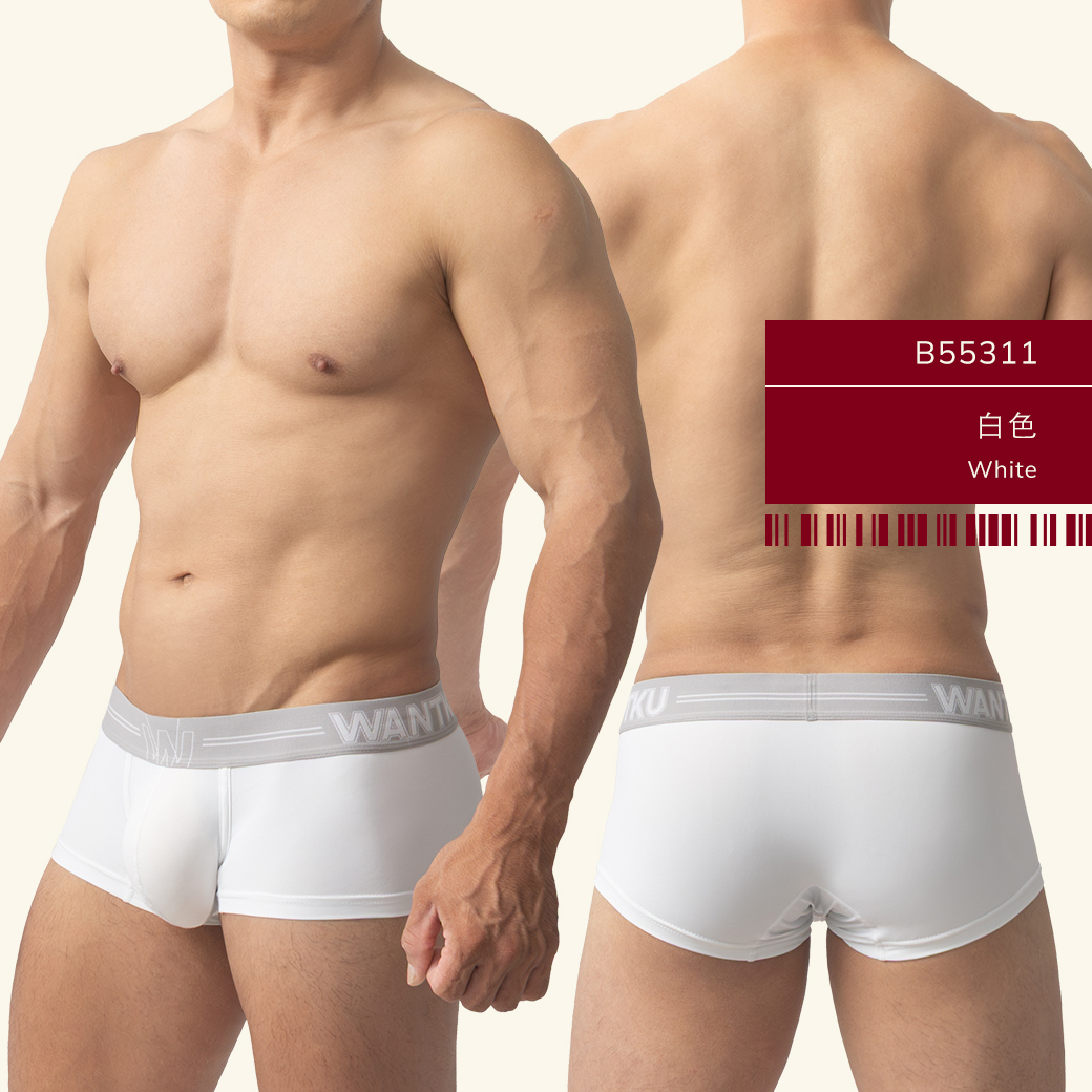 素色,尼龍,基本款,四角褲,男內褲,plain colors,nylon,basic styles,boxers,mens,underwears,b5531
