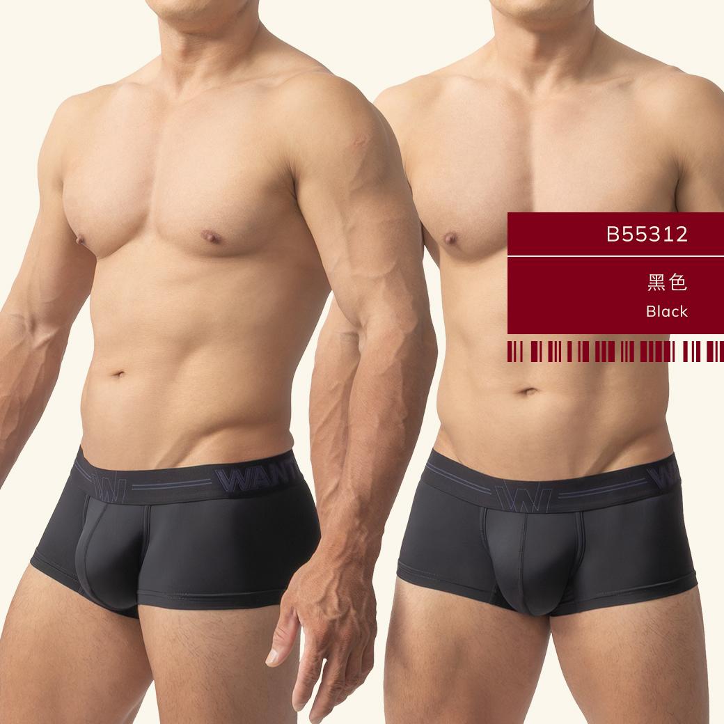 素色,尼龍,基本款,四角褲,男內褲,plain colors,nylon,basic styles,boxers,mens,underwears,b5531