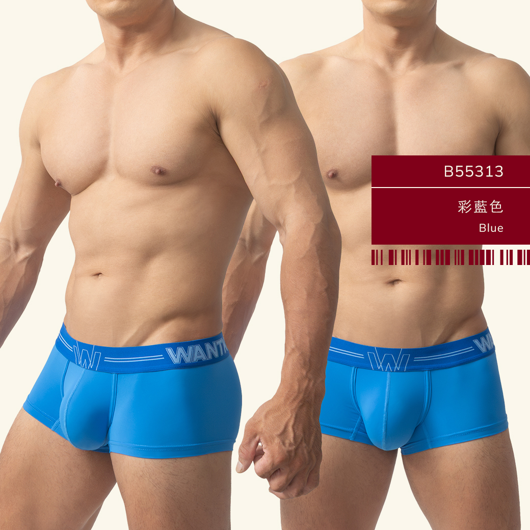 素色,尼龍,基本款,四角褲,男內褲,plain colors,nylon,basic styles,boxers,mens,underwears,b5531