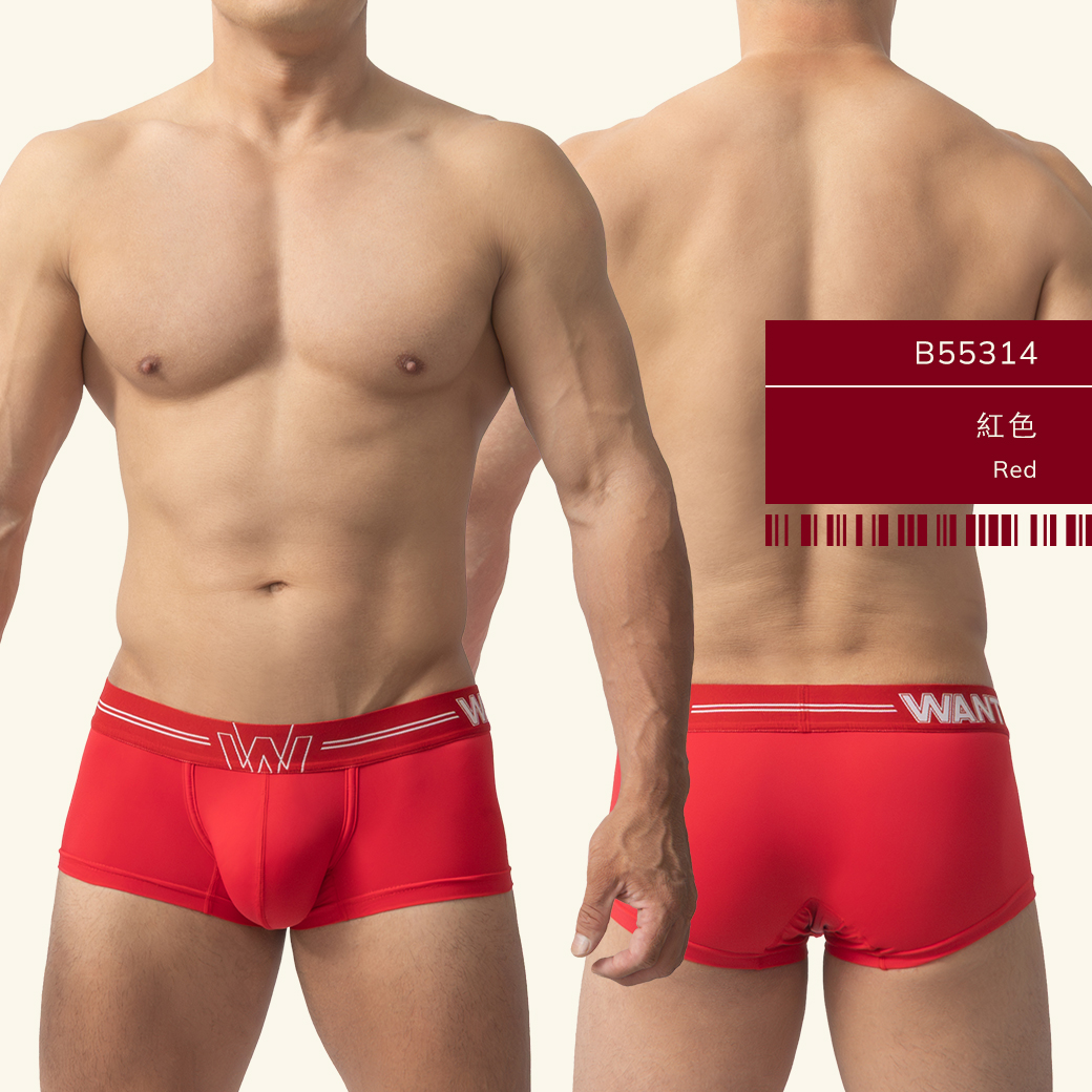 素色,尼龍,基本款,四角褲,男內褲,plain colors,nylon,basic styles,boxers,mens,underwears,b5531