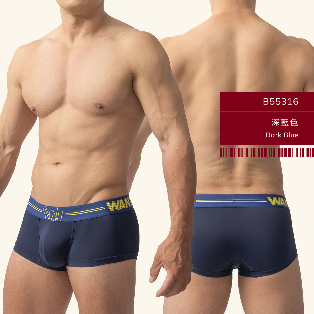 素色,尼龍,基本款,四角褲,男內褲,plain colors,nylon,basic styles,boxers,mens,underwears,b5531
