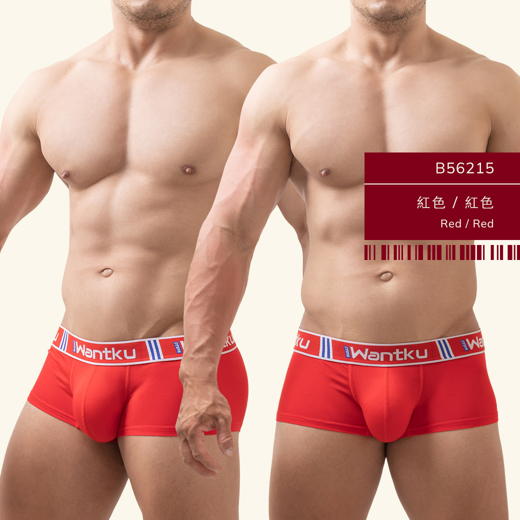 莫代爾內褲,男內褲,四角褲,素色內褲,玩酷子弟,WANTKU,B5621,Modal underwear,mens boxer briefs