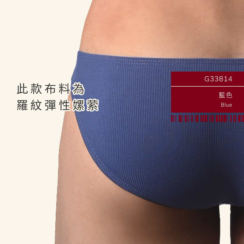 素色,雙槓,羅紋,彈性,嫘萦,低腰,三角褲,男內褲,plain color,double lines,ribbing,elastic,rayon,low waits,briefs,mens,underwears,g3381