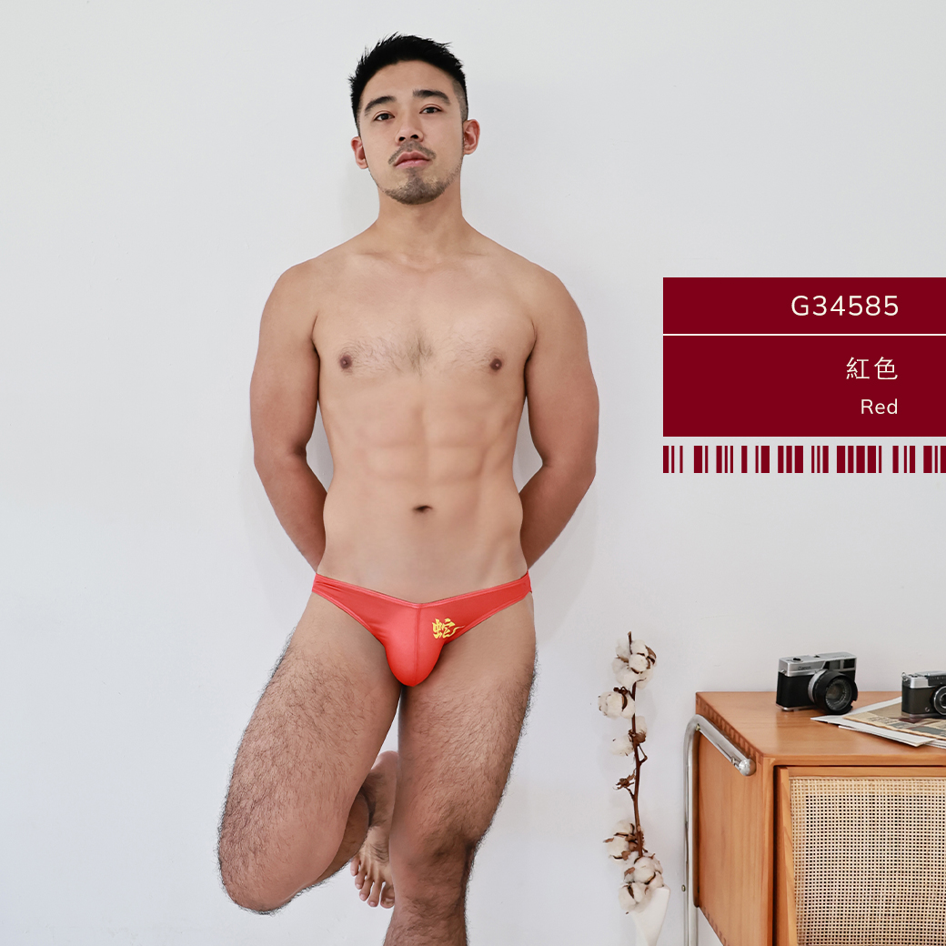 小龍年,tdt,低腰,三角褲,男內褲,small dragon,snake,year,low waist,briefs,mens,underwears,g3458