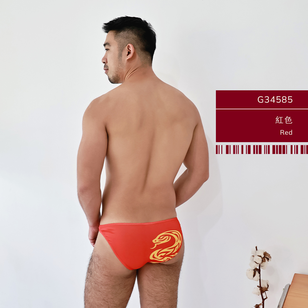 小龍年,tdt,低腰,三角褲,男內褲,small dragon,snake,year,low waist,briefs,mens,underwears,g3458