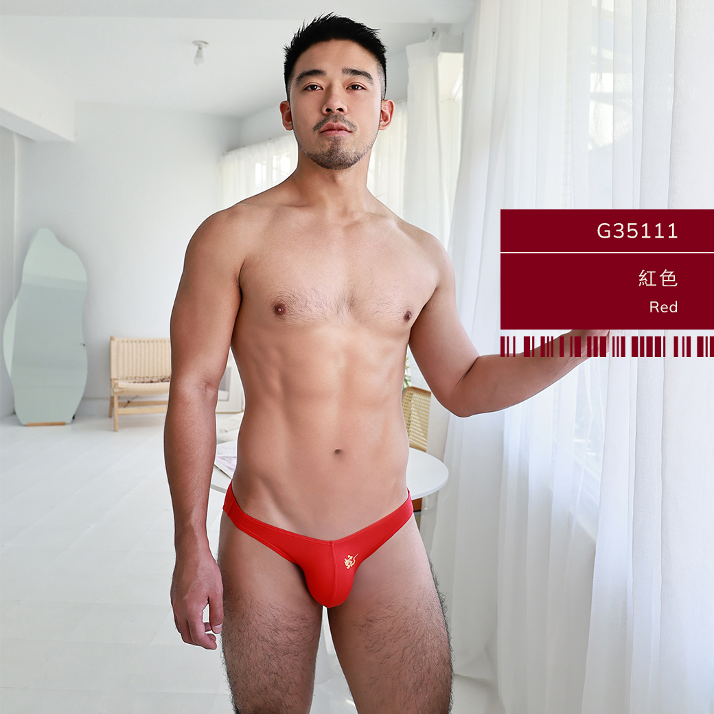小龍年,莫代爾,低腰,三角褲,男內褲,small dragon,snake,year,modal,low waist,briefs,mens,underwears,g3511