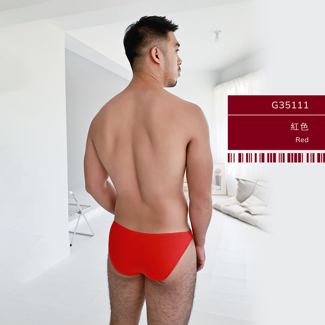 小龍年,莫代爾,低腰,三角褲,男內褲,small dragon,snake,year,modal,low waist,briefs,mens,underwears,g3511