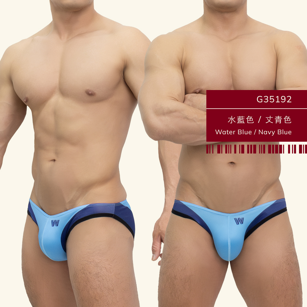 w,雙色,tdt,低腰,三角褲,男內褲,duo-colors,low waist,briefs,mens,underwears,g3519