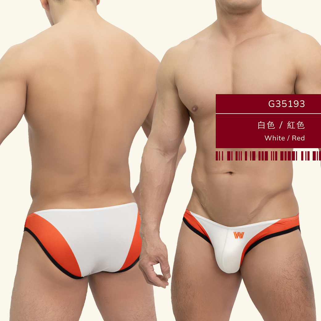 w,雙色,tdt,低腰,三角褲,男內褲,duo-colors,low waist,briefs,mens,underwears,g3519