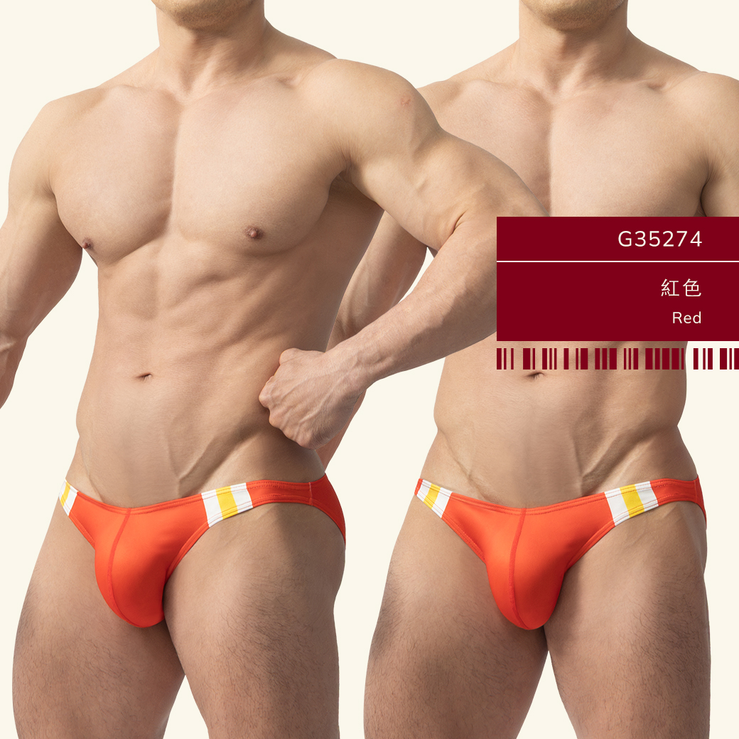 側槓,雙色,tdt,低腰,三角褲,男內褲,sided,lines,duo-colors,low waist,briefs,mens,underwears,g3527